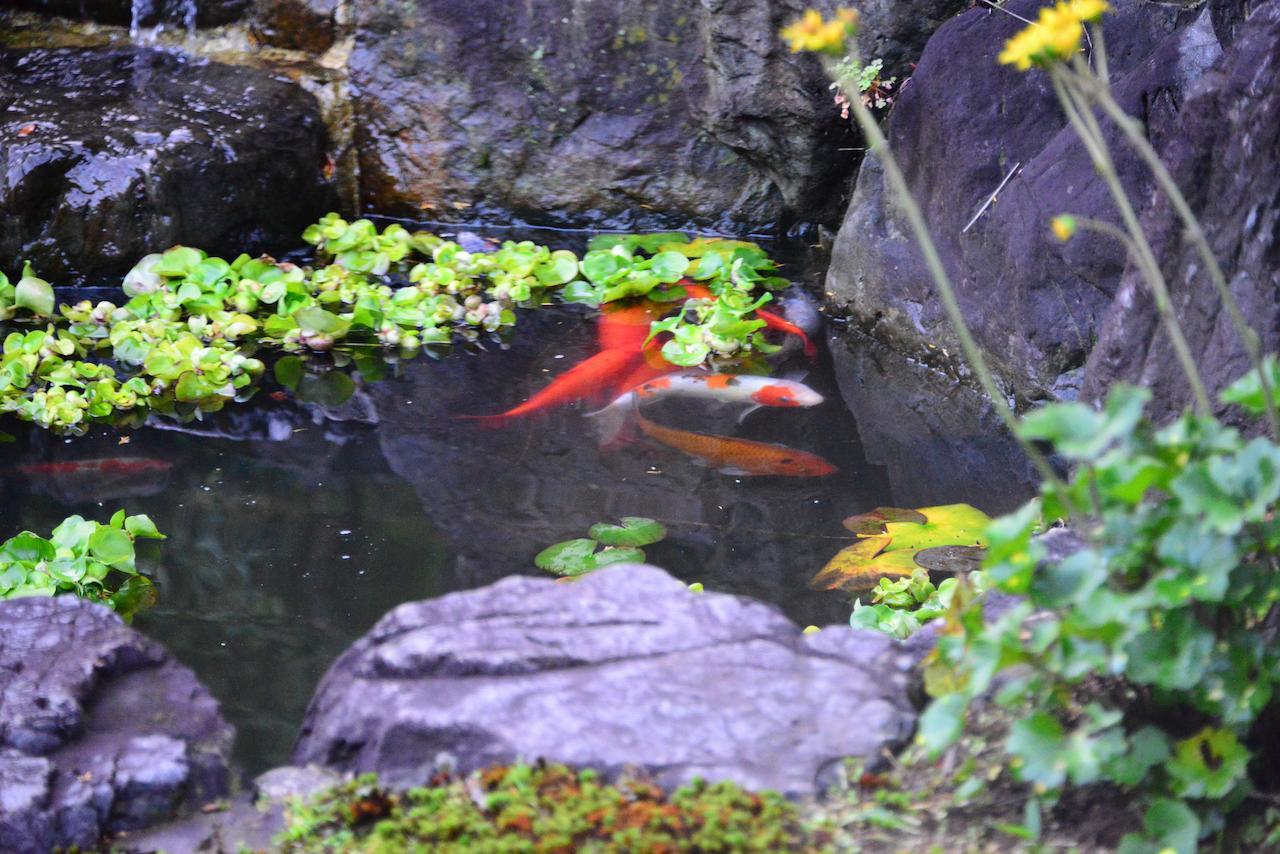 古都里庵 明日香村 部屋 写真