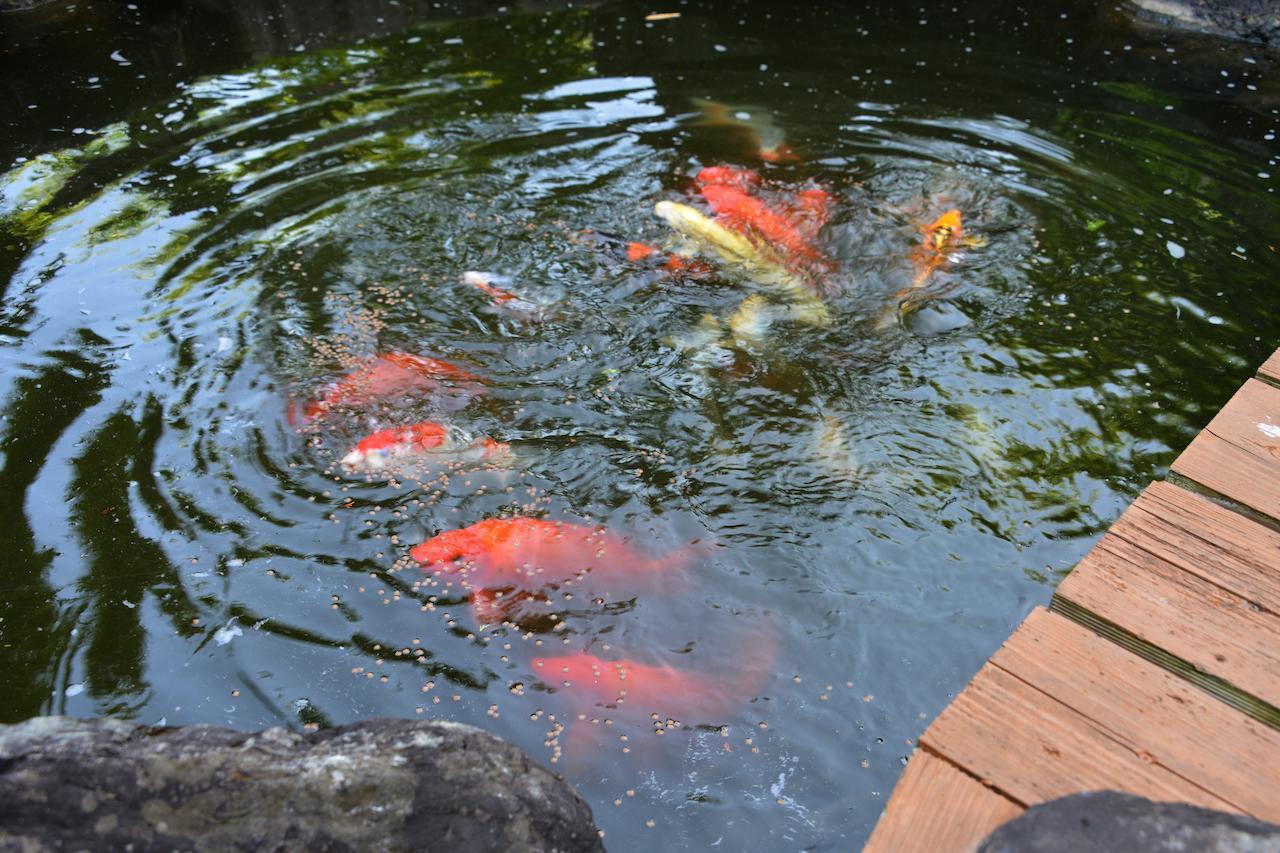 古都里庵 明日香村 部屋 写真